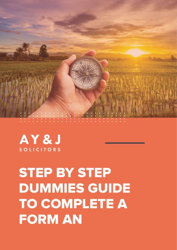 British Naturalisation Application (Form AN): Complete Guide 2026